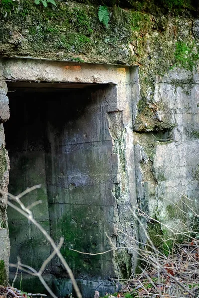 Open Donkere Griezelige Toegang Tot Koude Catacombe Met Schilferend Beton — Stockfoto