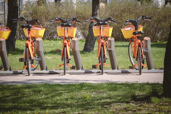 芝生の間の舗装のレンタルの行に立ってバスケットとオレンジの自転車 — ストック写真