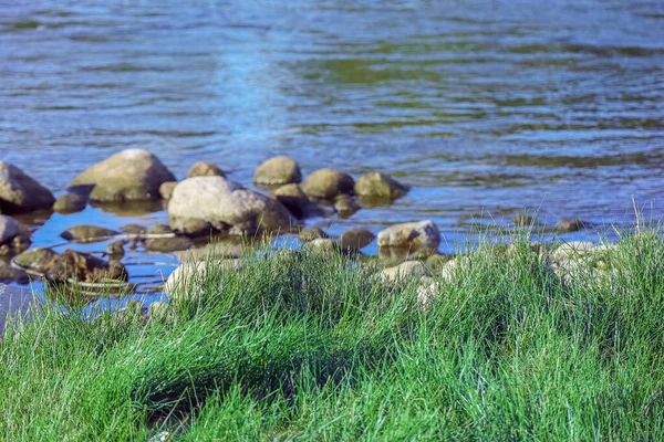 Длинная Зеленая Трава Растет Возле Реки Голубой Воды Серыми Камнями — стоковое фото