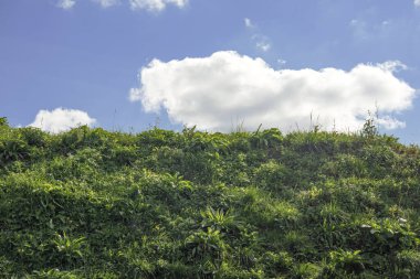 Güneşli yaz gününde yeşil çayır çimlerinde dinlenen yumuşak, yumuşak bulutlar.