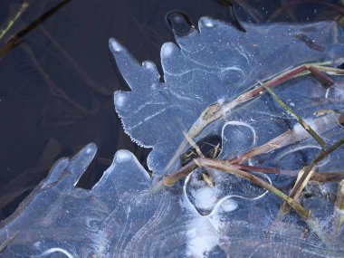 Donmuş su yüzeyinde kırılan buzun yakın çekimi doğanın hassas kış şablonlarını gözler önüne seriyor..