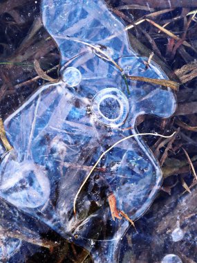 Close-up view of abstract ice formations on a frozen lake, with intricate natural patterns shaped by cold weather. clipart