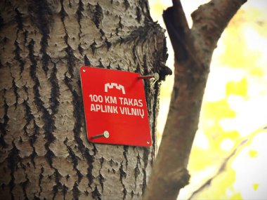 Ağaç gövdesinde kırmızı yürüyüş alanı işareti, ormanda Vilnius işaretinin etrafında 100 km yol.