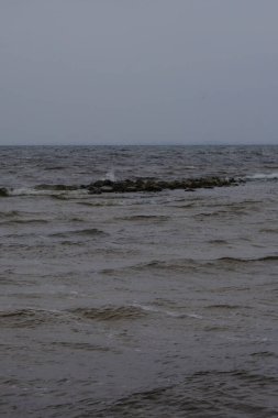 Güzel bir deniz manzarası, bulutlu havalarda bir su deposu. Dalgalar kıyıya doğru akın ediyor. Orada sarı kum, taş ve sazlıklar var. Çekici doğal manzara, arka plan.