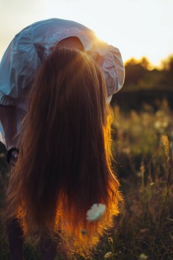 Güzel, uzun saçlı bir kadın saçını güneşli bir yaz tarlasında bağlamak için eğildi. Lüks, uzun, kırmızı, sağlıklı saçlar, doğal bakım ve bakım kavramı. Doğal gün batımı ışığı, seçici odak