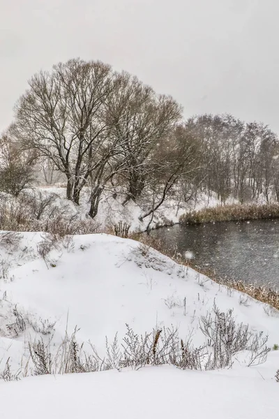 Paysage Hivernal Arbres Près Rivière Herbe Sèche Beaucoup Neige Vue — Photo