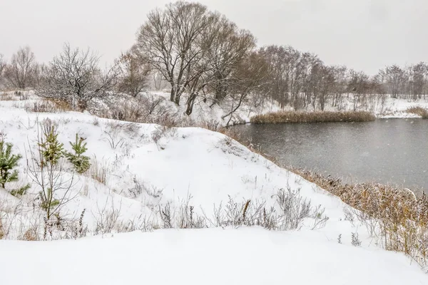 Зимовий Пейзаж Дерева Біля Річки Суха Трава Багато Снігу Мальовничий — стокове фото