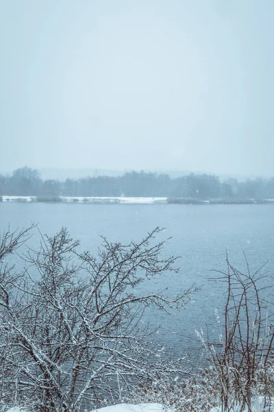Winterlandschaft Bäume Fluss Trockenes Gras Und Viel Schnee Malerische Aussicht — Stockfoto