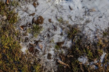 Soyut görüş, batan güneş tarafından aydınlatılan buz, donmuş hava kabarcıkları, çimen ve yaprak yaprakları. Güzel turta arkaplanı, doğal doku.
