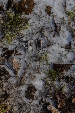 Soyut görüş, batan güneş tarafından aydınlatılan buz, donmuş hava kabarcıkları, çimen ve yaprak yaprakları. Güzel turta arkaplanı, doğal doku.