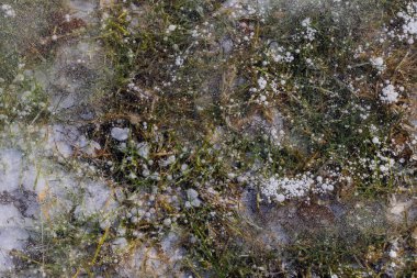 Soyut görüş, batan güneş tarafından aydınlatılan buz, donmuş hava kabarcıkları, çimen ve yaprak yaprakları. Güzel turta arkaplanı, doğal doku.