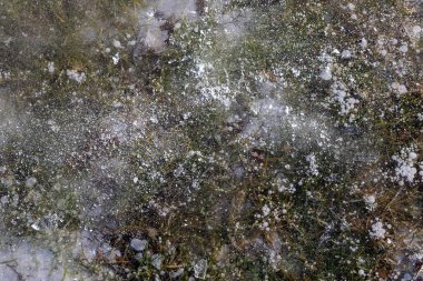 Soyut görüş, batan güneş tarafından aydınlatılan buz, donmuş hava kabarcıkları, çimen ve yaprak yaprakları. Güzel turta arkaplanı, doğal doku.