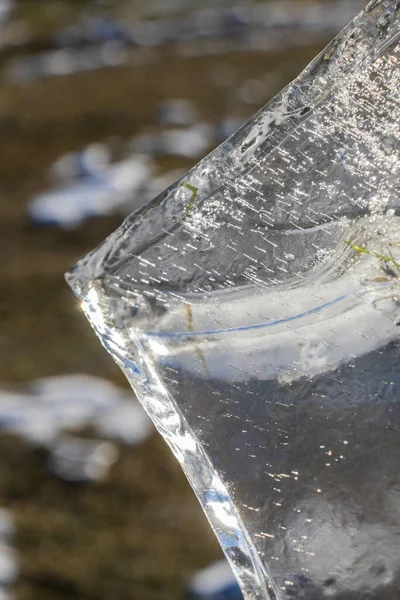 摘要观景 冰由落日 冰封的气泡 草叶图案所照亮 漂亮的派背景 自然质感 — 图库照片