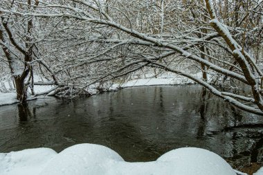 Kar kaplı ağaçlar ve bulutlu bir sabahta bir orman nehri ile kışın gri manzarası. Sudaki yansıma çok güzel. doğal arkaplan