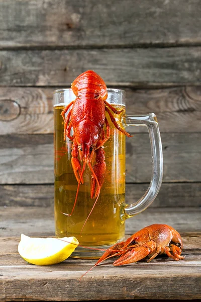 Beer party. Still life with glass of beer, crayfish crawfish against old wooden rustic background. Front view.