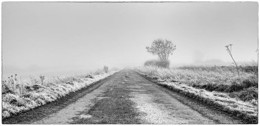 Winter track leading into the far distance - black and white