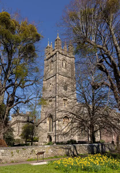 St. Mary Kilisesi, Thornbury, Güney Gloucestershire, İngiltere, Birleşik Krallık