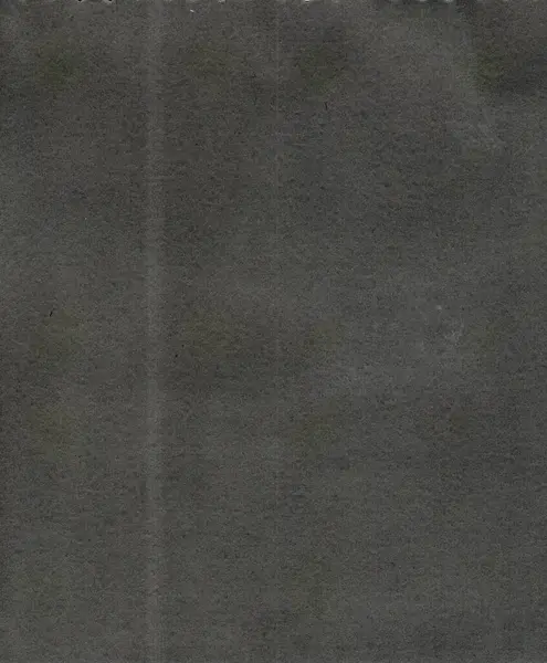 Eski Bir Siyah Albüm Kağıdının Yüksek Kaliteli Bir Taraması Toz — Stok fotoğraf