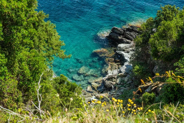 Beau Paysage Près Torra Osse Cape Corse Corse France — Photo