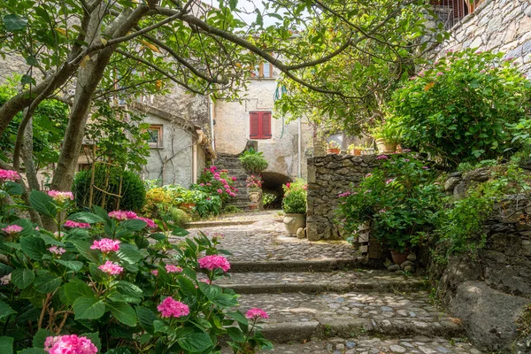 Den Vackra Lilla Staden Corte Sommarmorgon Corse Frankrike — Stockfoto