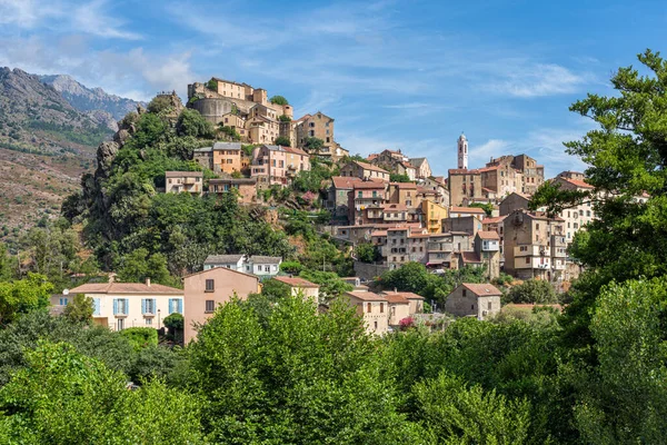 Beautiful Little Town Corte Summer Morning Corse France — Stock Photo, Image