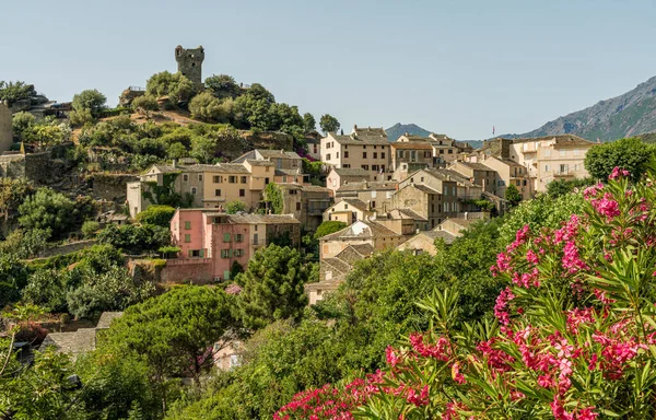 Beautiful Village Nonza Summer Afternoon Corse France — Stock Photo, Image