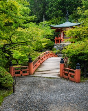 Güzel Daigo-ji Tapınağı ve onun yaz mevsiminde bahçesi. Kyoto, Japonya.