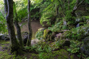 Güzel Daigo-ji Tapınağı ve onun yaz mevsiminde bahçesi. Kyoto, Japonya.