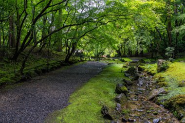 Güzel Daigo-ji Tapınağı ve onun yaz mevsiminde bahçesi. Kyoto, Japonya.