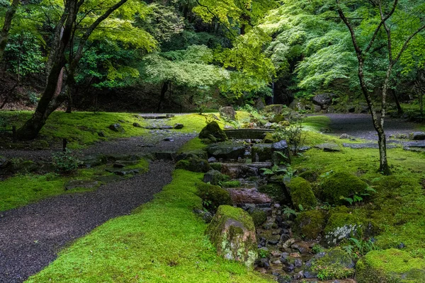 Magnifique Temple Daigo Son Jardin Pendant Saison Estivale Kyoto Japon — Photo