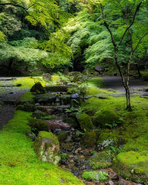 Piękna Świątynia Daigo Jej Ogród Sezonie Letnim Kioto Japonia — Zdjęcie stockowe