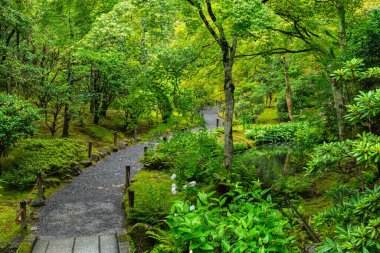 Kyoto 'daki güzel Ryoan-ji Tapınağı' nda manzara. Japonya.