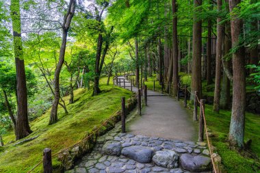 Kyoto 'daki muhteşem Ginkaku-ji Tapınağı' nda manzara. Japonya.