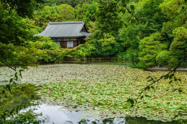 Kyoto 'daki güzel Tenryu-ji Tapınağı' nda manzara. Japonya.