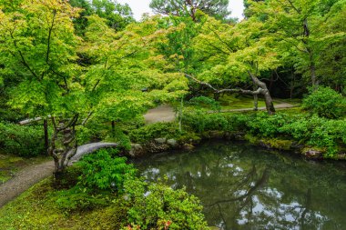 Nara 'daki muhteşem Isuien Bahçesi' nde manzara. Japonya.