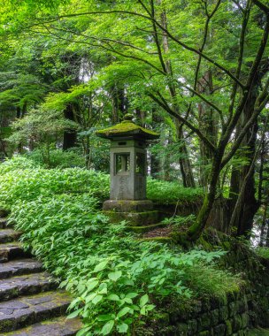 Nikko 'daki Tosho-gu Tapınağı' nda manzara. Tochigi Bölgesi, Japonya.