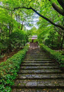 Kyoto 'daki güzel Tenryu-ji Tapınağı' nda manzara. Japonya.