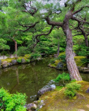 Kyoto 'daki muhteşem Ginkaku-ji Tapınağı' nda manzara. Japonya.