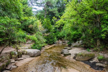 Miyajima 'daki Momijidani Parkı (Itsukushima), Hiroşima, Japonya.