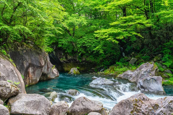 Nikko 'daki ünlü Kanmangafuchi uçurumunda manzara. Tochigi Bölgesi, Japonya.