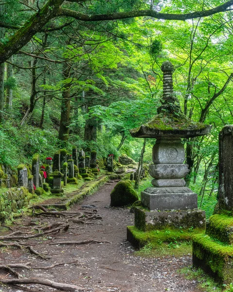 Scénický Pohled Slavné Kanmangafuchiho Propasti Nikku Prefektura Tochigi Japonsko — Stock fotografie