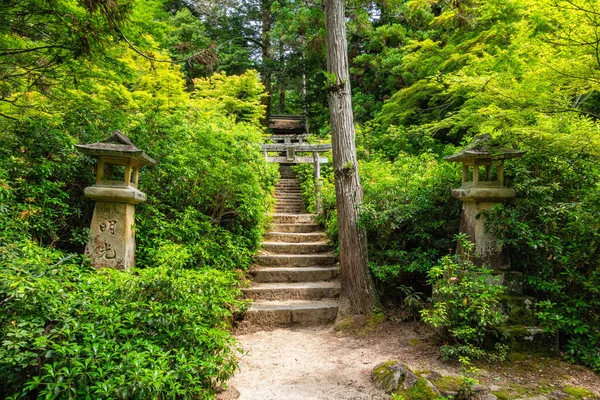 Γραφικό Θέαμα Στο Πάρκο Momijidani Στο Miyajima Itsukushima Χιροσίμα Ιαπωνία — Φωτογραφία Αρχείου