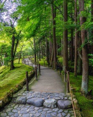 Kyoto 'daki muhteşem Ginkaku-ji Tapınağı' nda manzara. Japonya.