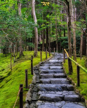 Kyoto 'daki muhteşem Ginkaku-ji Tapınağı' nda manzara. Japonya.