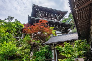 Miyajima 'daki Daisho-in Tapınağı (Itsukushima), Hiroşima, Japonya.