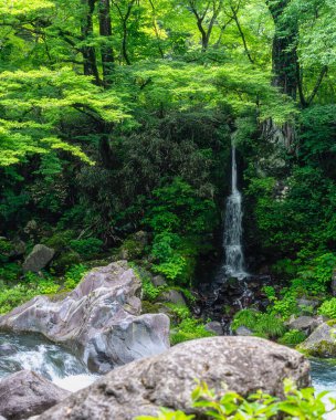 Nikko 'daki ünlü Kanmangafuchi uçurumunda manzara. Tochigi Bölgesi, Japonya.