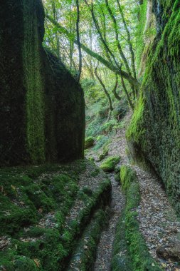 Viterbo, Lazio, İtalya 'daki Nepi yakınlarındaki Cavoni yolu..