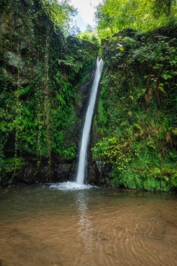 Viterbo, Lazio, İtalya 'daki Nepi yakınlarındaki Cavoni yolu..