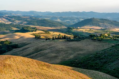 Volterra yakınlarındaki güzel Toskana manzarası, Pisa, Toskana, İtalya.