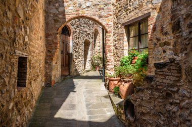 Güneşli bir yaz sabahında Castelnuovo 'nun güzel köyü Val di Cecina. Pisa ili, Toskana, İtalya. 